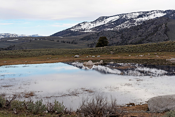 53-Yellowstone May 2011