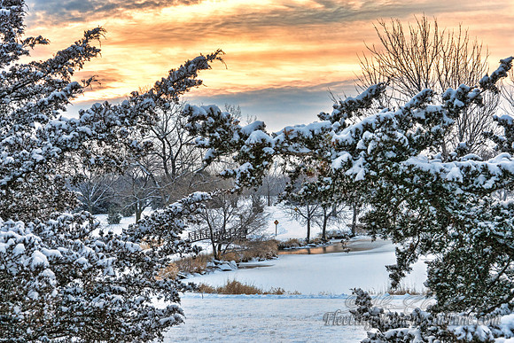 Fresh Snow on Lake Hastings