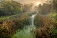 Into the Morning Mist - Nat Geo Top 10 "Photos of the Day" award recipient
