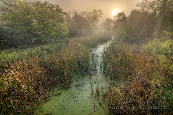 Into the Morning Mist - Nat Geo Top 10 "Photos of the Day" award recipient