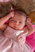 13 Maya July 2014