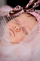 13 July-24-2011
