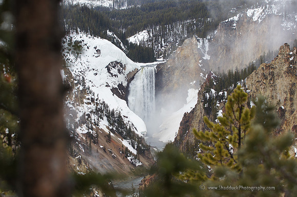 Lower Falls Grand Canyon of the Yellowstone May 2011