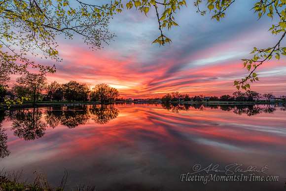 Spring Foliage at Lake Hastings May 2015