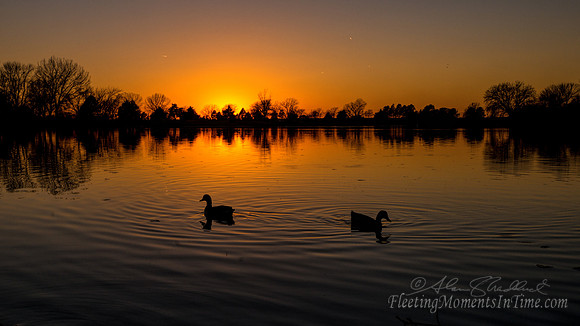 Late Winter @ Lake Hastings