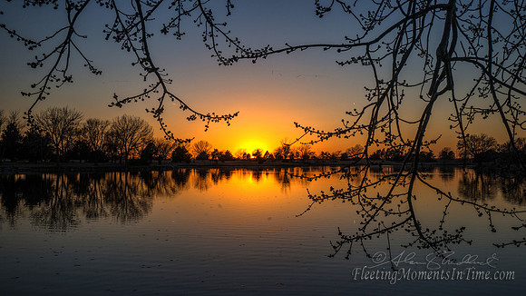 Spring is Very Near! A "budding" March Evening @ Lake Hastings