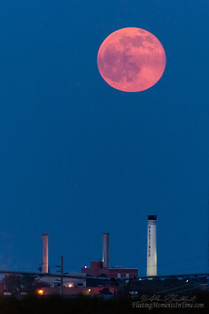 Full "Strawberry" Moonrise - June 2015