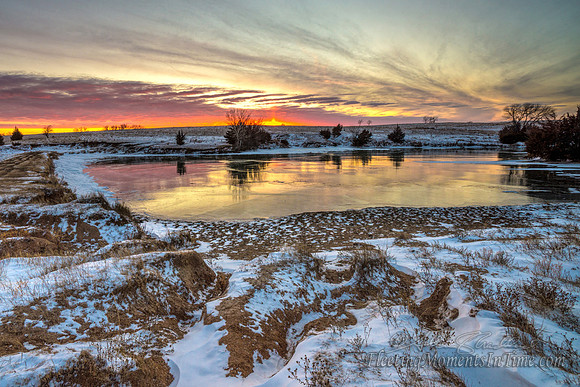 Watering Hole in the Frozen Prairie