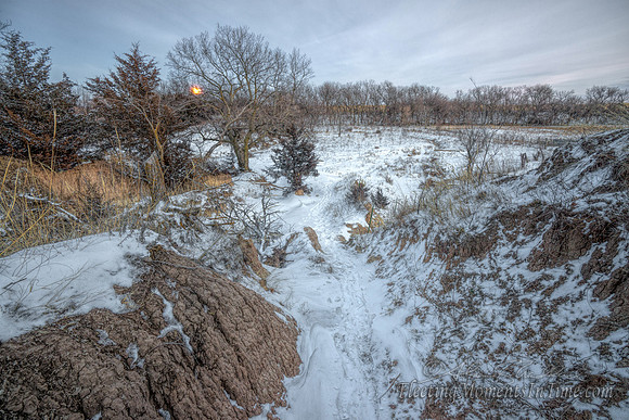 Full Moon Rising on the Sholtz Farm