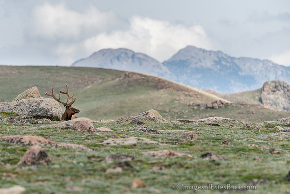 12 Colorado June 2014