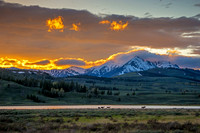 120 2013 Yellowstone