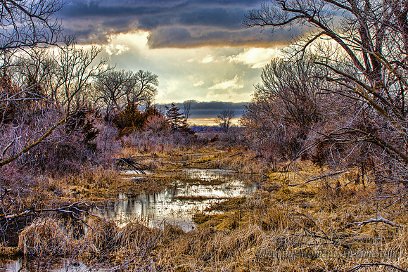 Calm Before the (Winter) Nebraska Storm