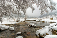 Spring Snow in Moraine Park