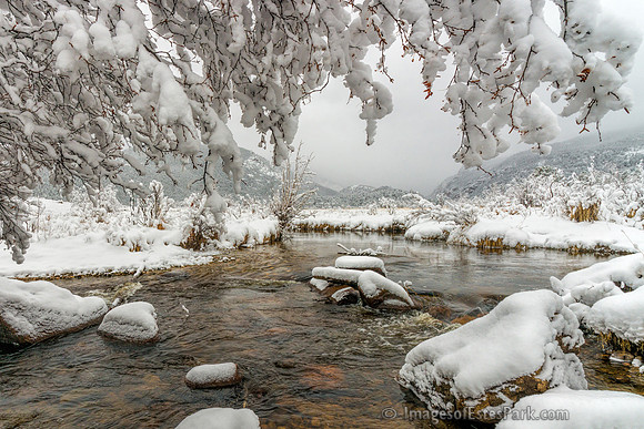 Spring Snow in Moraine Park
