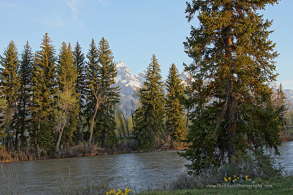 Teton View @ Dornan's