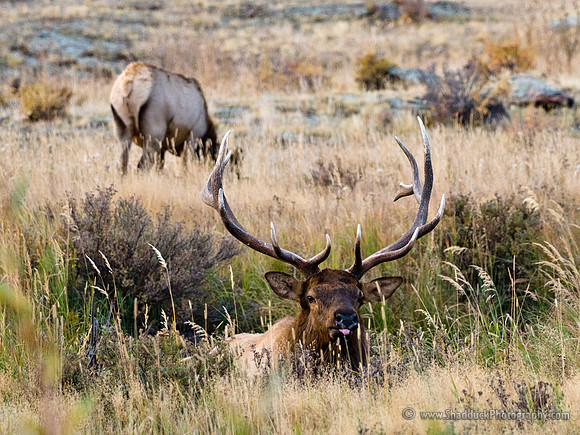 RMNP Oct 2011