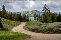Slough Creek Rd Yellowstone