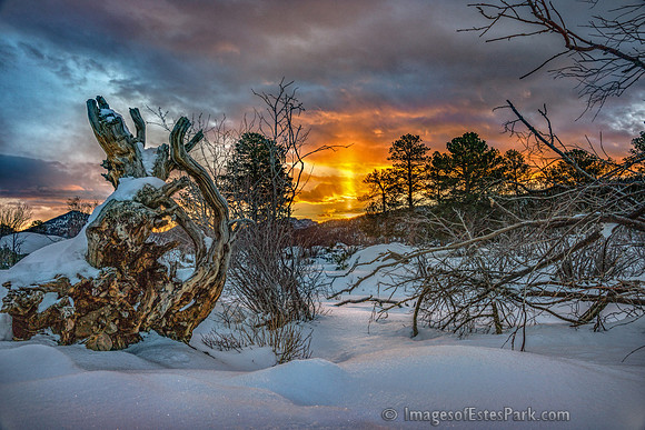 Winter Sunrise. Moraine Park, RMNP
