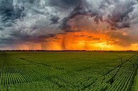 Stormy Sunrise over Nebraska Cornfields