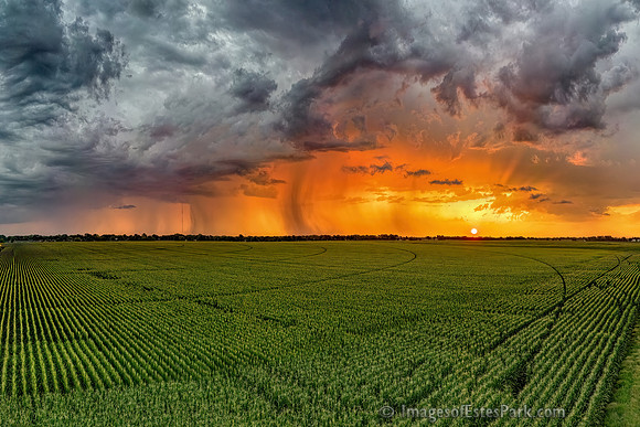 Stormy Sunrise over Nebraska Cornfields
