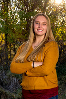 Brooke cutout