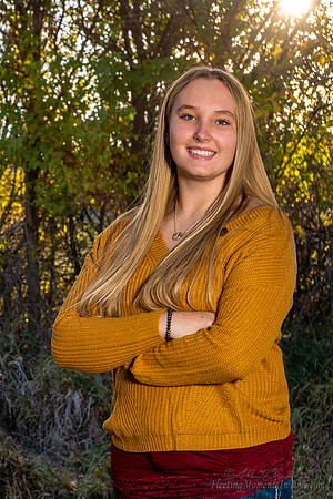 Brooke cutout