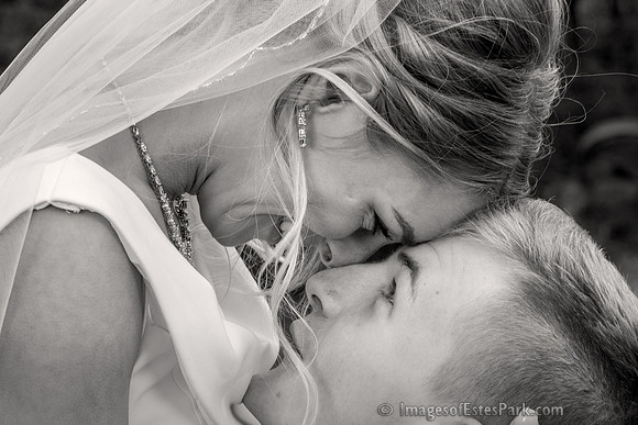 134 BrideandGroom