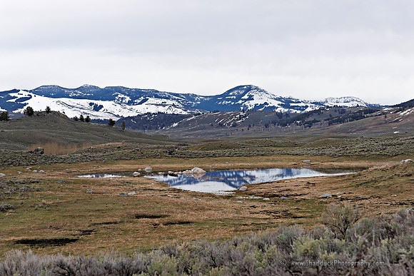 52-Yellowstone May 2011