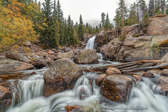 Autumn at Alberta Falls