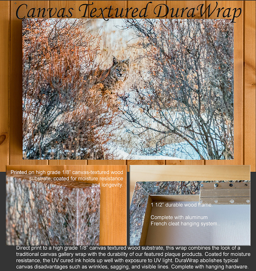 DuraWrap Description