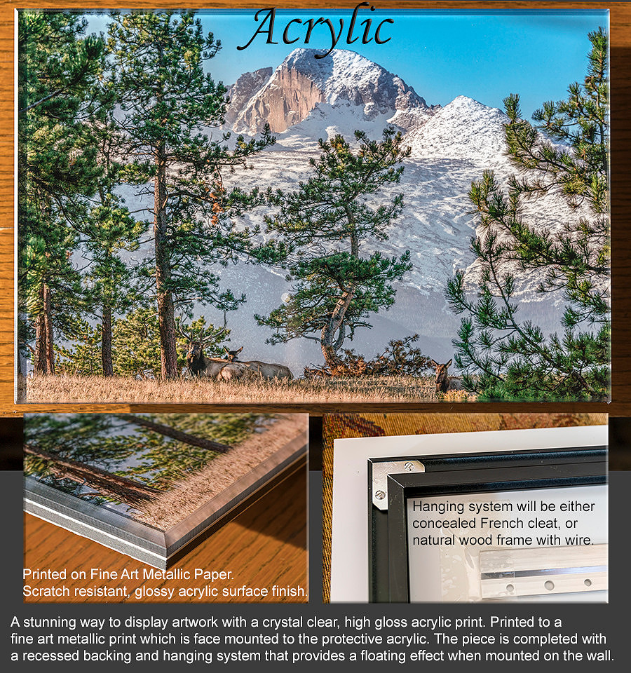 Acrylic Description