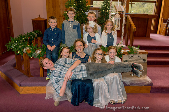 11 Family Groups