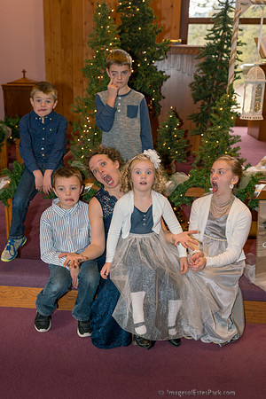 13 Family Groups