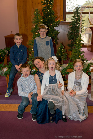 14 Family Groups