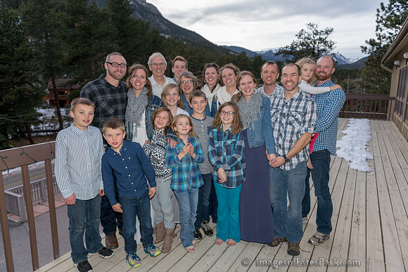 22 Family Groups
