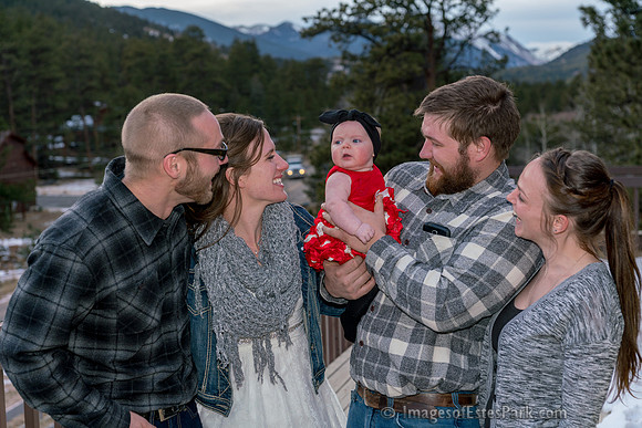 37 Family Groups