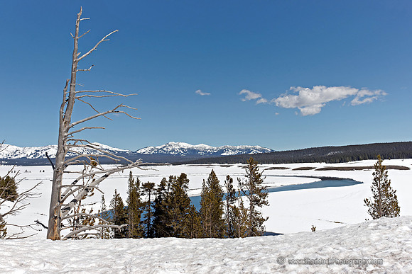 88-Yellowstone May 2011