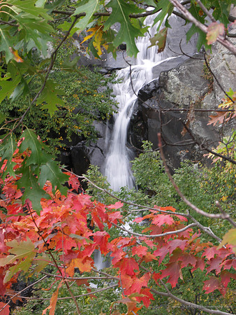 White Oak Canyon - SNP