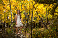 Autumn aspens make a sweet backdrop!