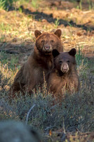Family Portrait, vertical orientation.