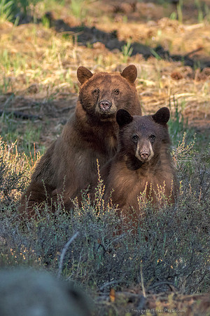 Family Portrait, vertical orientation.