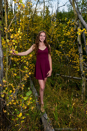 Eden, Sept in Rocky