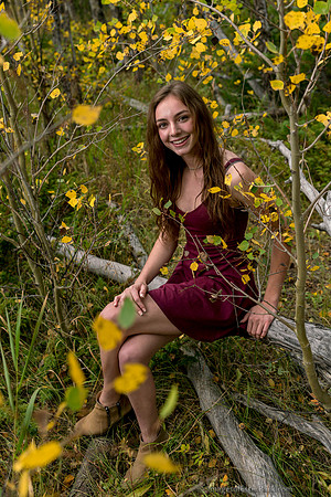 September Aspen Color