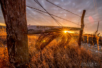 Deanos-Fence-20x30