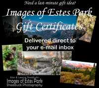Gift Certificates!
