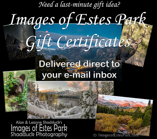Gift-Certificates