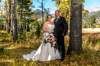 Autumn in the RMNP Aspens