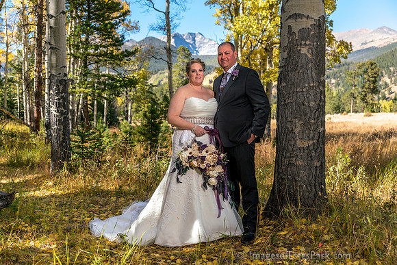 Autumn in the RMNP Aspens