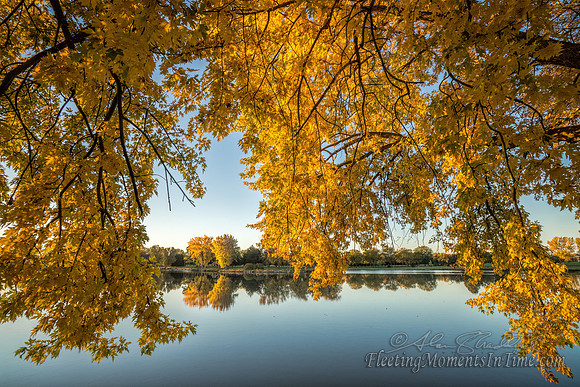 Calm Autumn Colors