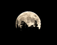 Hunter's Blue Moon - Halloween eve 2020
